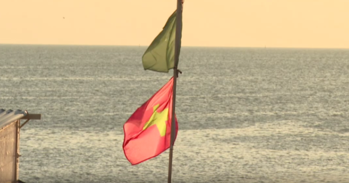 Cianobacterias llegaron a la costa de Montevideo Canelones y San José