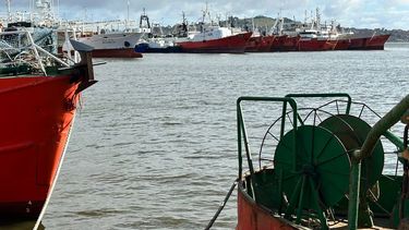 La Cámara de la Pesca amplió el llamado a personal para trabajar embarcado