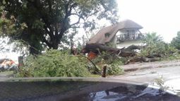 Árboles caídos y 50.000 personas sin luz; lo que dejó el temporal