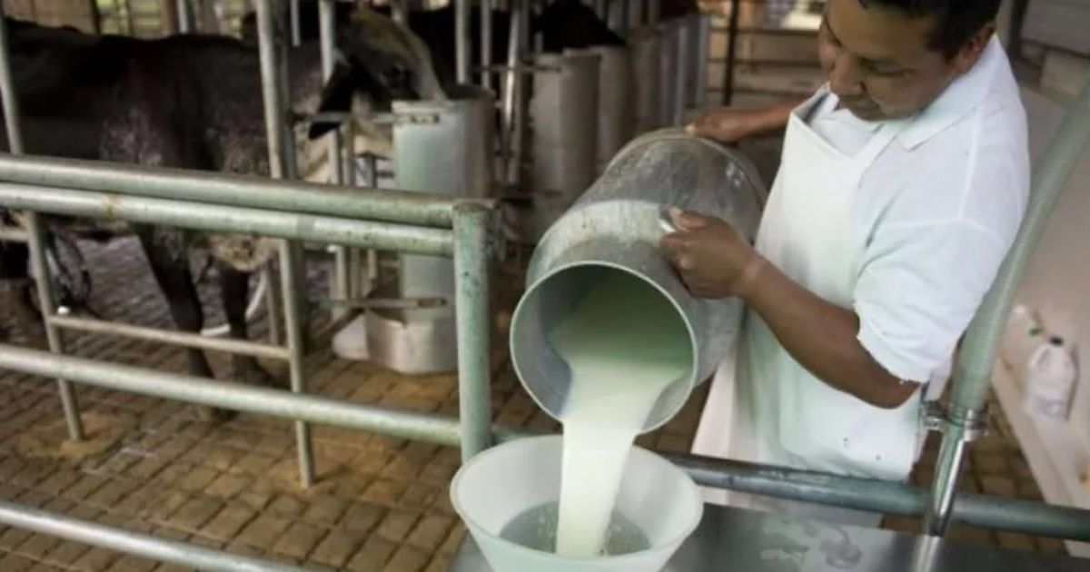 Gremiales de productores lecheros expresaron preocupación por investigación sobre supuesto dumping en Brasil