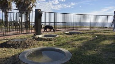 Parque Canino del Municipio B, en la Rambla Wilson y Bv. Artigas.