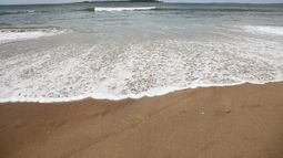 Hallaron una mano humana en Punta del Este