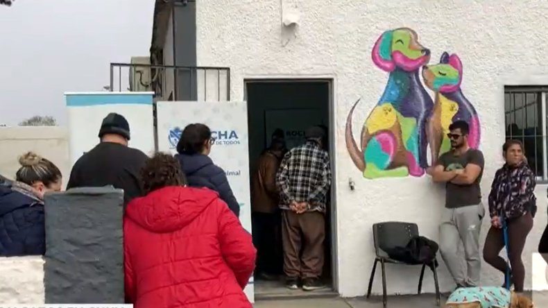 Inauguraron la primera sala de castración en Chuy