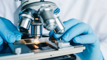 Presupuesto, ciencia y conocimiento.&nbsp;