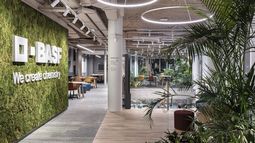 La empresa BASF continuará sus operaciones en Uruguay pero realizará una “transformación en su negocio”