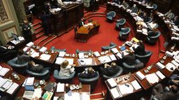 Tenencia compartida: siga en vivo el debate y la votación en la Cámara de Senadores