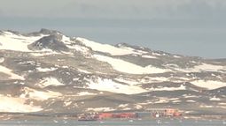 Evacuaron la base uruguaya en la Antártida por alerta de tsunami