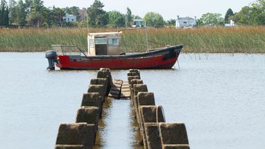 Pesca en invierno: el disfrute de los más pacientes para pasar un rato de calma