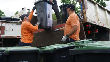 Contenedores intradomiciliarios IM.