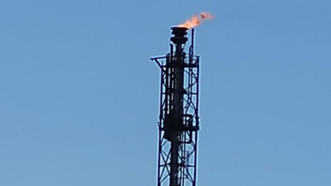 Diputado nacionalista trasladó a Ancap su preocupación por la parálisis de la refinería