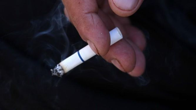 Día Mundial Sin Tabaco: daños en el ser humano y en el medioambiente