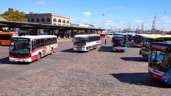 Encuesta sobre transporte público en Montevideo: cómo participar y qué evalúan usuarios