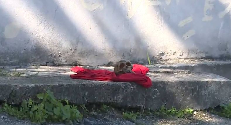 Hallaron un cráneo humano en Pérez Castellanos y se investiga su procedencia