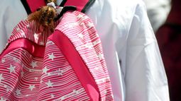 Primaria dispuso que se compre un menú de emergencia para niños