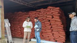 Uruguay concretó exportación de maní a Chile