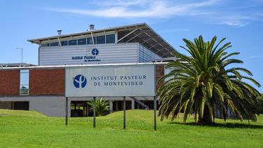 Institut Pasteur.