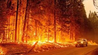 Incendio en California consumió más de 5.600 hectáreas