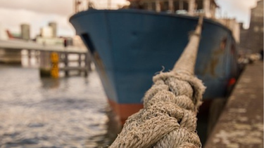 Empresas de la industria de la pesca demandaron al sindicato y reclaman 27 millones de dólares