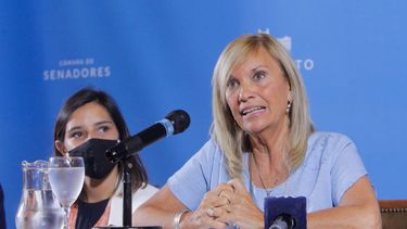 Presupuesto para el Senado proyecta ahorros por 574 millones de pesos