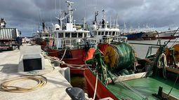 Salieron los primeros barcos tras casi tres meses de conflicto en la pesca; hubo dudas hasta último momento
