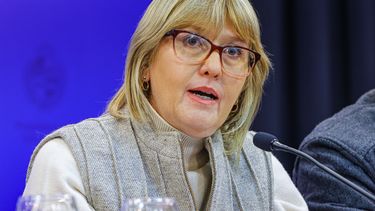 Cristina Lustemberg señaló que se hace una vigilancia activa de los residenciales