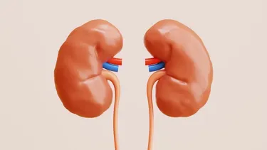 Uno de cada nueve uruguayos tendrá enfermedad renal: MSP incorpora cambios para mejorar el diagnóstico