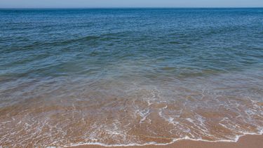 Cuerpo apareció en la playa.