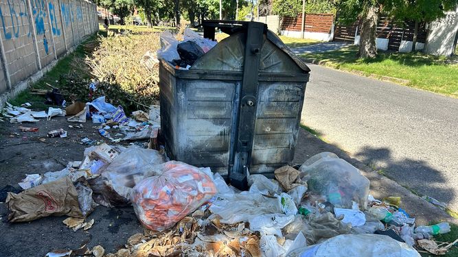 Reclamos por la basura en Montevideo: la IM dice que es por los paros; Martín Lema sugiere privatizar servicio