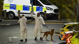 Diez heridos y dos detenidos por ataque con un cuchillo en un tren en Reino Unido