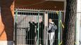 imputaron a la pareja de la mujer asesinada en aguada como presunto autor de homicidio agravado por el vinculo imputaron a la pareja de la mujer asesinada en aguada como presunto autor de homicidio agravado por el vinculo
