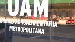 Cinco años de la UAM.