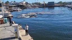 Una ballena ingresó en el Puerto de Punta del Este: mirá el video