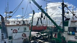Conflicto en la pesca sigue con demora en la salida de algunos barcos; trabajadores denuncian discriminación