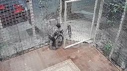Forzó una reja, ingresó a un edificio y robó una bicicleta y una valija: todo quedó grabado