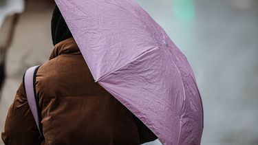 el temporal dejo a una escuela sin techo, caida de arboles en maldonado y mas de 6.000 casas sin luz