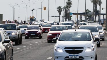 Bajaron los fallecidos en el tránsito, según la director de Movilidad de la IM