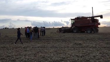 Primera cosecha de soja de UTU: cosecharán 180 toneladas en 66 hectáreas