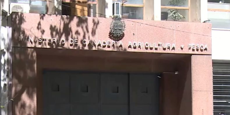MGAP abrió llamado laboral para consultor vinculado a alimentos y salud humana con un salario de $56.000