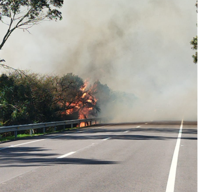 Incendio de campo en la ruta 9 kilómetro 255, a 5 kilómetros de la ciudad de Castillos.