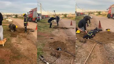 Bomberos rescató a un perro que estuvo por 15 horas atrapado en una alcantarilla en San Carlos