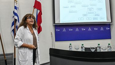 ASSE informó que 99% de los embarazos estuvieron controlados.