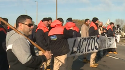 Trabajadores de Conaprole comienzan trabajo a reglamento