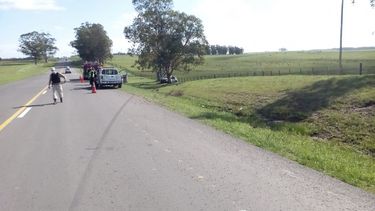 Un hombre falleció tras despistar y chocar contra un árbol en Ruta 5