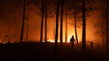 Uruguay enviará 40 bomberos uruguayos a Chile tras pedido de apoyo por incendios en Ñuble y Biobío