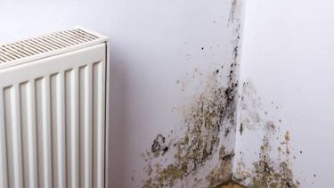 conoce un truco casero y efectivo para eliminar manchas de humedad de las paredes