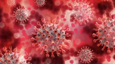 Nueva variante de covid ómicron se propaga y el mundo aísla al sur de África