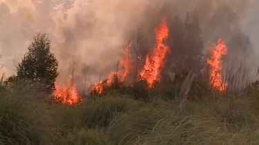 Lluvias apagan incendios forestales en Bolivia, ahora en alerta por temporales
