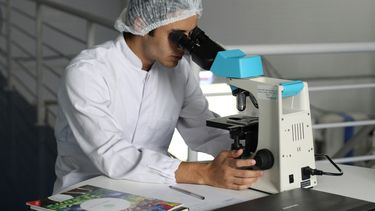 Día Mundial del Investigador Científico: ¿Por qué se celebra?