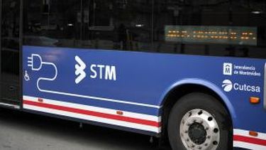 STM