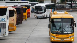 Transporte interdepartamental parará 48 horas desde este viernes